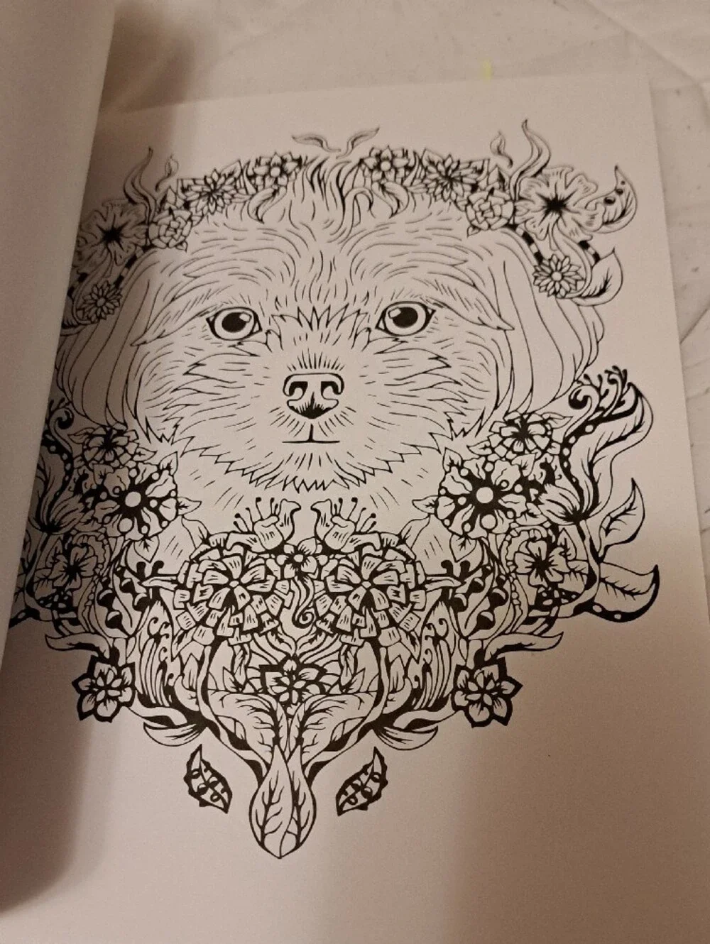 Colorama Delightful Dogs Coloring Book by Bullhead – Multicolor